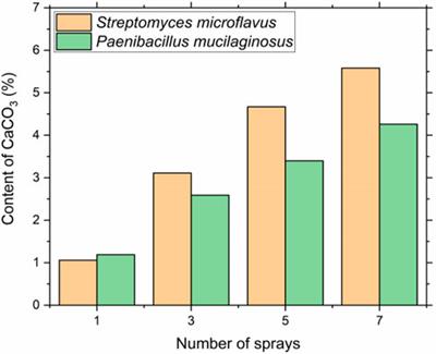 Microstructural and Geomechanical Study on Microbial-Carbonized Sand Using Streptomyces Microflavus for Dust Control